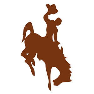 Ã°ÂÂÂ  Wyoming Cowboys @ Arizona State Sun Devils